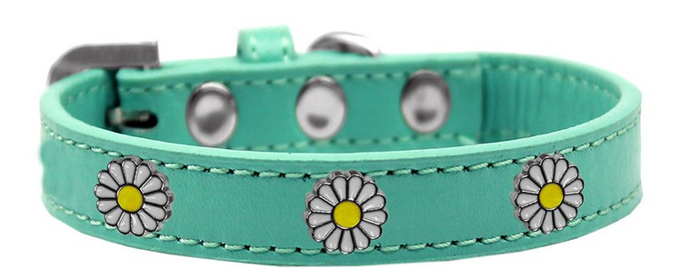 White Daisy Widget Dog Collar Aqua Size 12